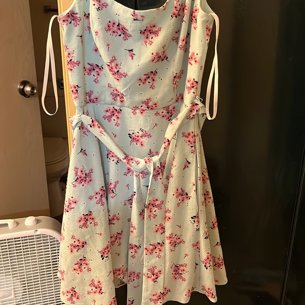 Pocket dress